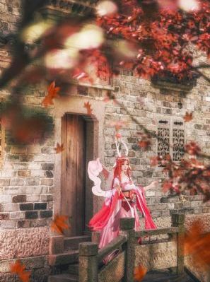 成人午夜精品视频-热播动漫在线观看